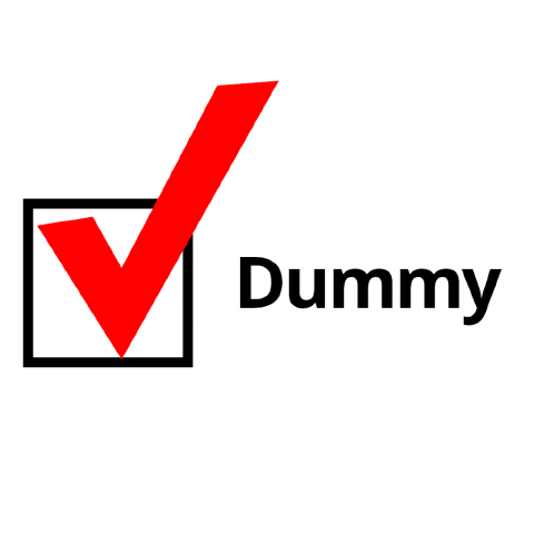 Check The Dummy Box cover art