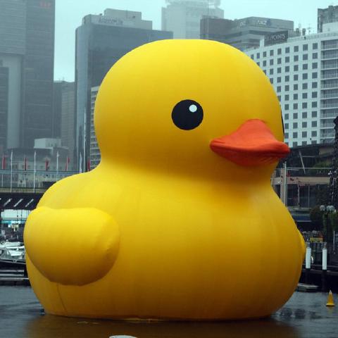 Rubber Ducking cover art