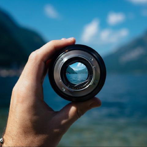 Focus, Dammit cover art