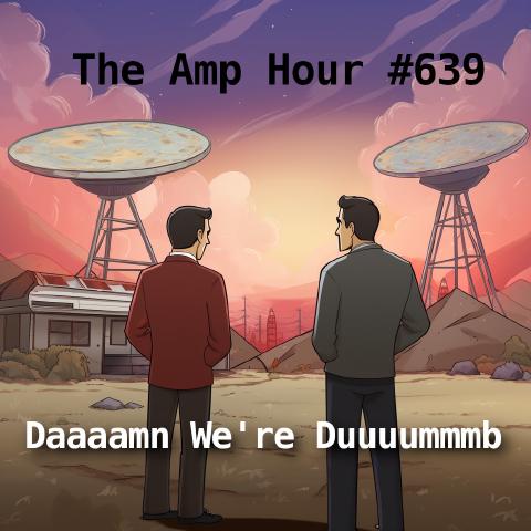 Daaaamn We're Duuuummmb cover art