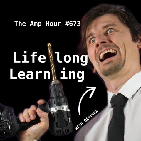 Lifelong Learning with Bitluni cover art