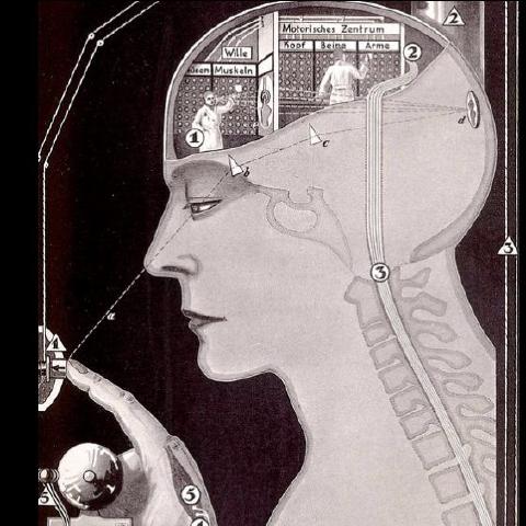 Grow A Superbrain cover art